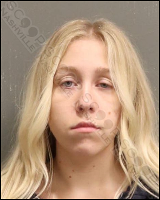 Woman charged with downtown DUI says she had a “single drink at work before leaving — Catherine Friend