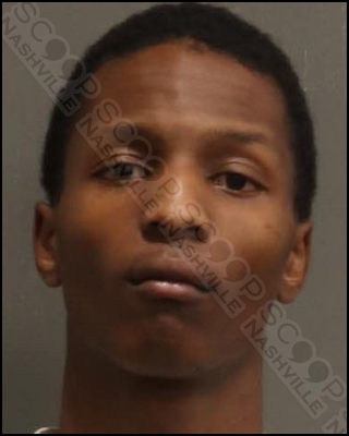 Zaire Robinson bites his girlfriend & punches her dog during an argument