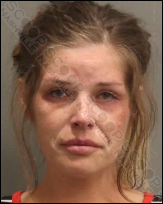 Ashley Hanes charged after drunken night at Double E Bar & Grill