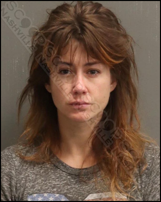 Musician Hannah Fairlight arrested after playing drunken bumper cars with her children in the vehicle