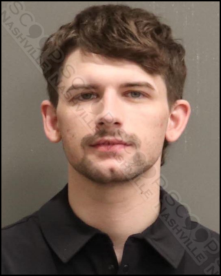 Cole Steele charged after smashing cinderblock into car, passing out inside as he burglarizes it