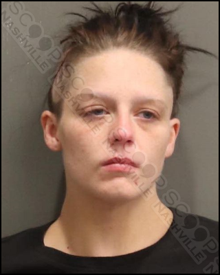 Courtney Garrett charged in assault of boyfriend at South Nashville motel