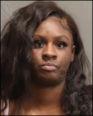 Tandrea Garrett charged after punching father of her child, yanking out his dreads