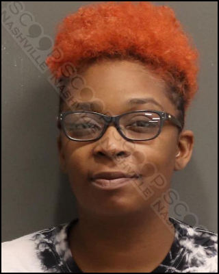 Lanikya Harris pins Michelle Render against wall with car before beating her; says she owed her money