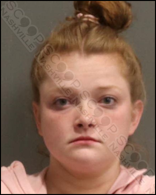 Madalyn Rogers charged in assault of friend & breaking a police car
