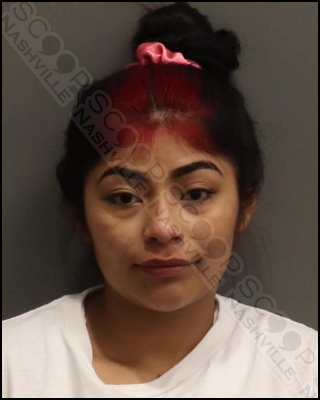 Norma Odilia-Macz attacks boyfriend with bicycle, gold belt, extension cord, and knife