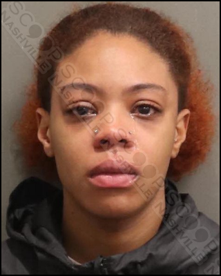 Janasia Williams punches girlfriend in her face