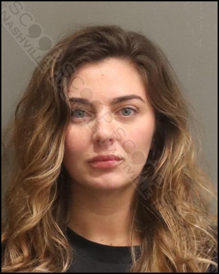 Victoria Grissom charged with DUI after driving through construction side in Nashville