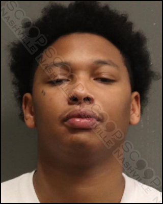 Demarcion Lyles charged after pistol-whipping the mother of his children unconscious