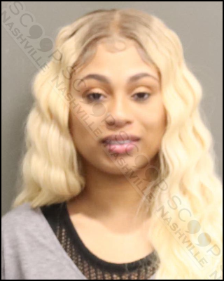 Ariana Alexander charged with DUI and disorderly conduct after traffic stop for tint