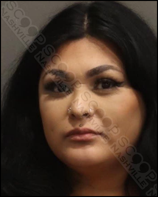 DUI: Bianca Canastillos found asleep behind the wheel with car in drive