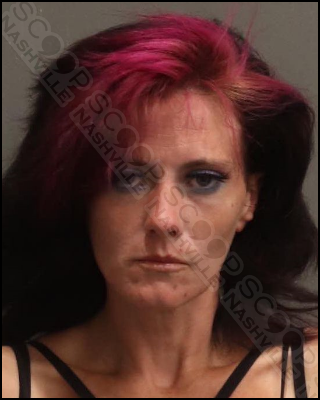 Cynthia Lloyd, part of ‘organized crime ring,’ steals $10 of ice cream; uses getaway bus