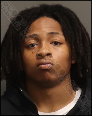 Lazarius McGee charged after fleeing in stolen vehicle