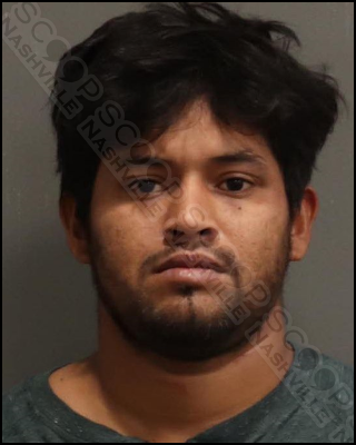 Jonathan Aleman Herrera punches brother multiple times in face