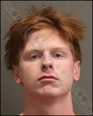 18-year-old Fischer Krebs found with 80 THC vape pens, gun, and two bags of marijuana