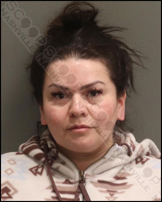 Diana Rivera assaults husband with phone, destroys mirrors on his truck during altercation