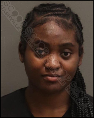 18-Year-Old Jakeria Rucker drives into oncoming traffic to evade police in Ford Fusion