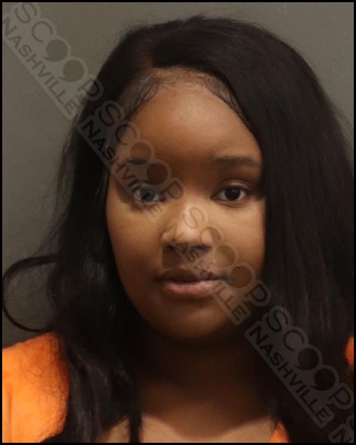 DUI: Michelle Odom gets into car accident, tells police she drank “2 Blue Motherf*ckers”