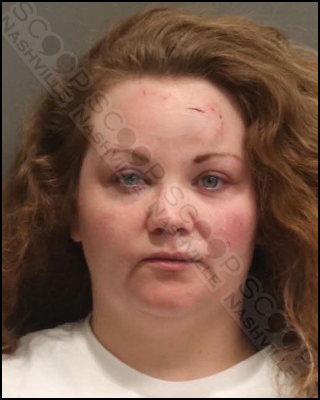 DUI: Victoria Walker tells police she doesn’t recall crashing car, lies about picking up friend