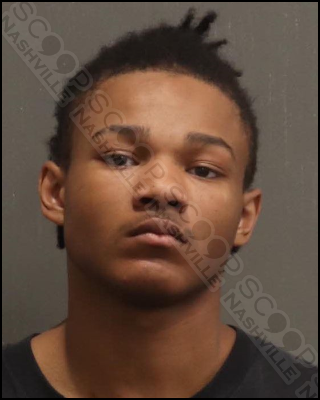 18-year-old Dorian Preston jailed after stealing Honda Civic, fleeing police