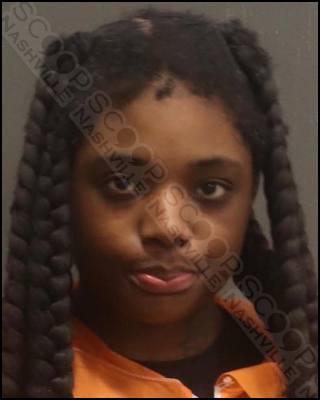 Terrinesha Kimbrough steals $513 in merchandise from multiple stores with juveniles at Opry Mills Mall