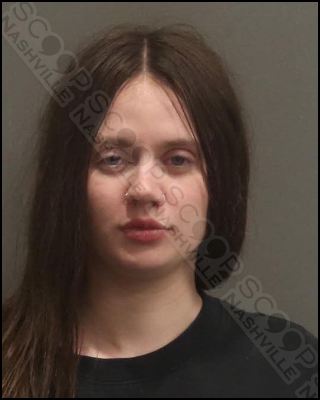 DUI: Kailee Dahlstrom found asleep behind the wheel after hitting car in parking lot